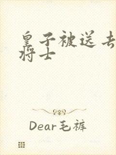 皇子被送去犒劳将士封面