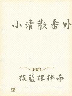 小清欢番外封面