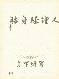 贴身经理人txt
