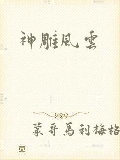 神雕风云