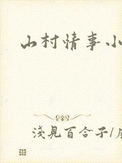 山村情事小说封面