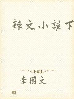 辣文小说下载封面
