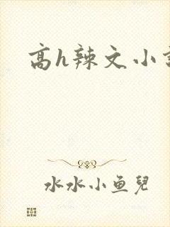 高h辣文小说