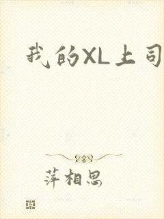 我的XL上司封面