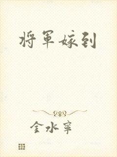 将军嫁到封面