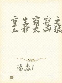 重生霸宠之摄政王爷太凶猛