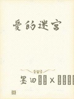 爱的迷宫