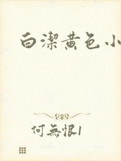 白洁黄色小说