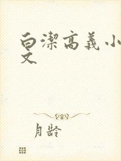 白洁高义小说全文封面