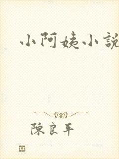 小阿姨小说封面