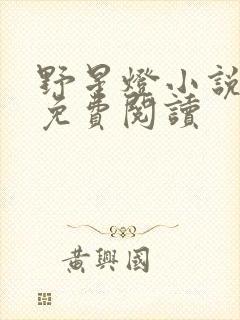 野星灯小说全文免费阅读封面