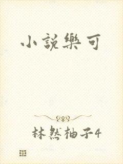 小说乐可封面