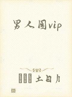 男人团vip