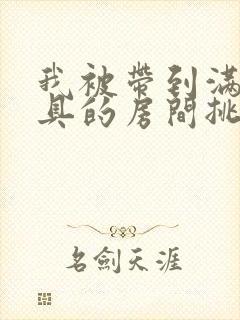 我被带到满是玩具的房间挑调作文封面