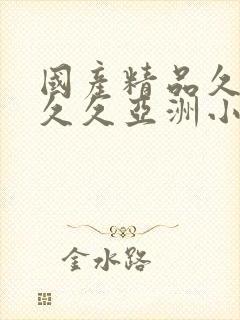 国产精品久久久久久亚洲小说
