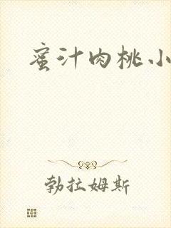 蜜汁肉桃小说
