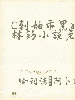 C到她乖黑暗森林的小说免费