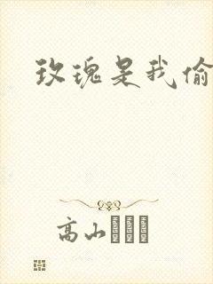 玫瑰是我偷的