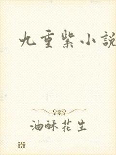 九重紫小说