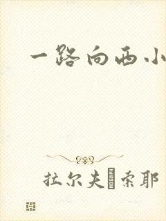 一路向西小说