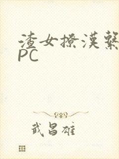 渣女撩汉系统NPC封面