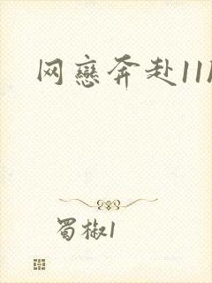 网恋奔赴11h