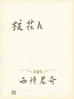 校花h封面