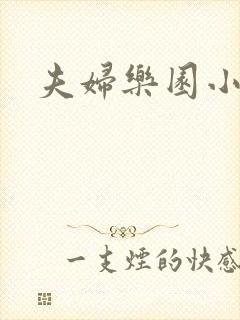 夫妇乐园小说