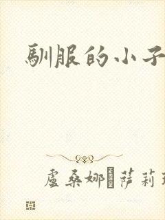 驯服的小子4