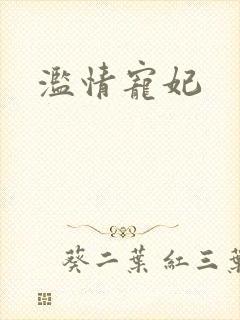 滥情宠妃