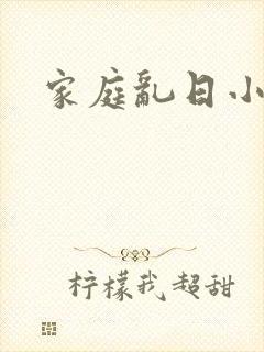 家庭乱日小说封面