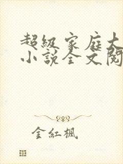 超级家庭大杂烩小说全文阅读