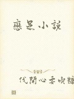 恋足小说