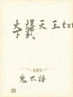 火爆天王txt下载
