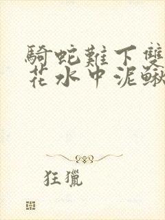 骑蛇难下双金银花水中泥鳅封面