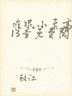 催眠小柔高达第13章免费阅读封面