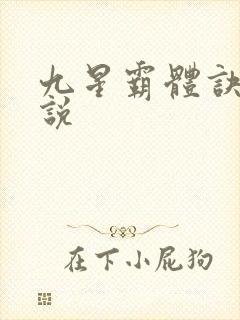 九星霸体诀 小说