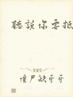 听说你要抵抗我封面
