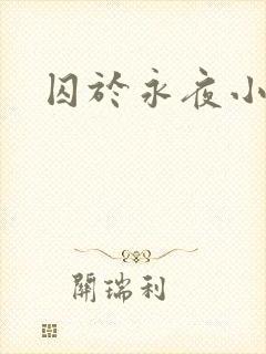 囚于永夜小说封面