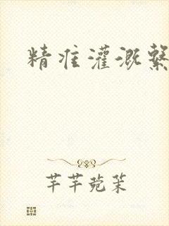 精准灌溉系统