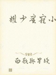 权少蜜宠小娇妻