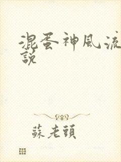 混蛋神风流史小说
