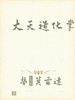 大天造化掌