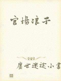 官场浪子