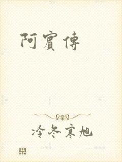 阿宾传