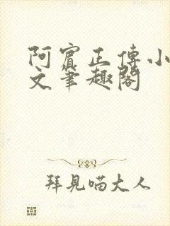 阿宾正传小说全文笔趣阁