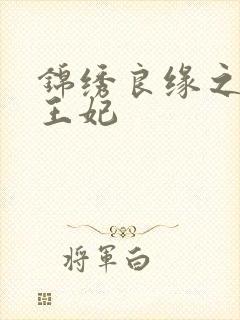 锦绣良缘之北地王妃封面