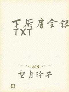 下厨房金银花露 TXT