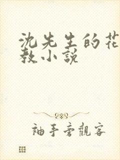 沈先生的花式管教小说封面