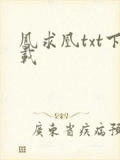 凤求凰txt下载